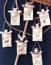 Seed Packets.  Pattern includes 5" rabbit, cow, pig, boy, girl, bear and cat in easy to paint seed packets.